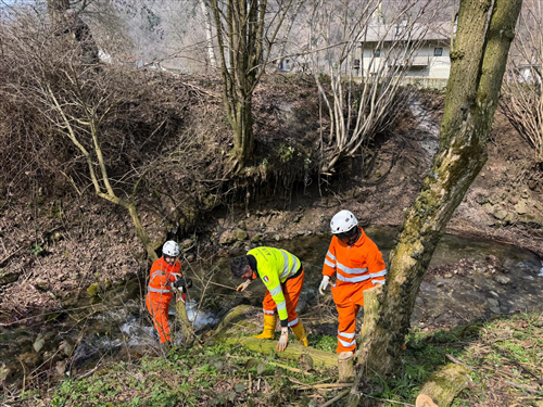 Aib al lavoro per ripulire il Rio Freddo ed il torrente Grana