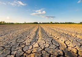 Aziende agricole, il Comune di Monterosso Grana raccoglie le segnalazioni di danni da siccità